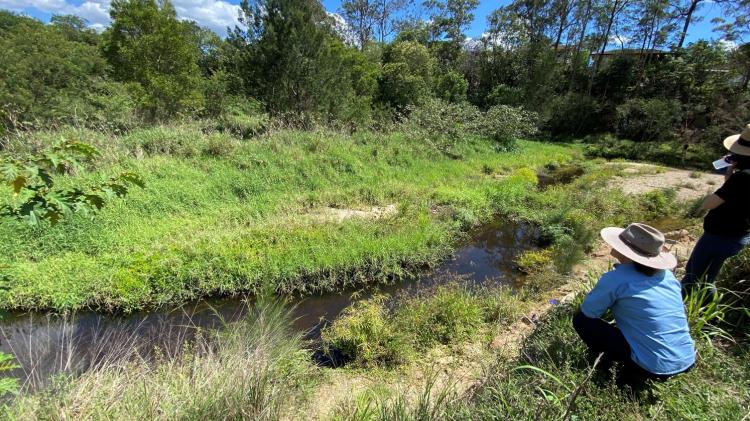 Scouring of the banks