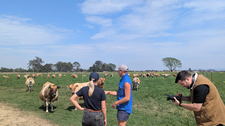 IRRO with the Stock family