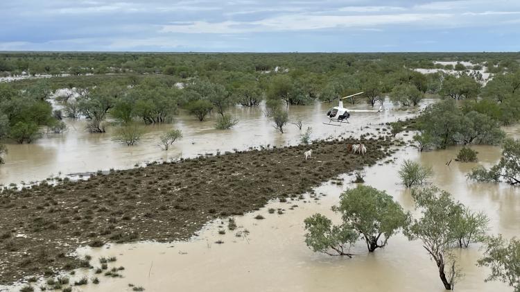 Flooded farmers need loans