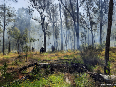 NEMA_DRF_Boonah_Landcare_Cultural_Burn_Workshop_Scenic_Rim_QLD_15072022