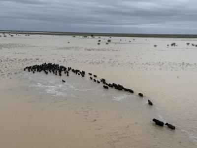 2025-26 North Queensland Monsoon Trough and Flooding – exceptional circumstances